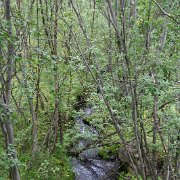 120-IMG_3975
