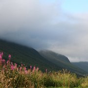 131-IMG_4046