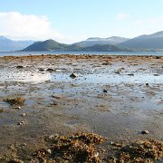 134-IMG_4063