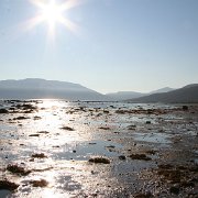 135-IMG_4065