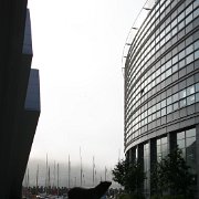 144-IMG_4115