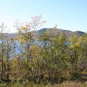 171-IMG_4349