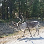 175-IMG_4359