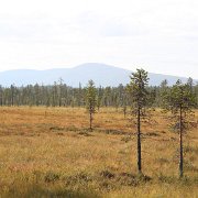178-IMG_4370