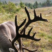 181-IMG_4382