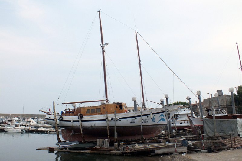 DSCF6420
