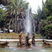 DSCF6397