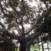 DSCF6404