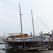 DSCF6420