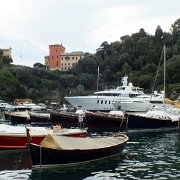 DSCF6503
