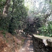 DSCF6540