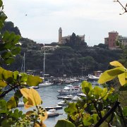 DSCF6541