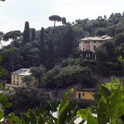 DSCF6542