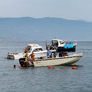 DSCF6563