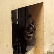 DSCF6669