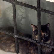 DSCF6673