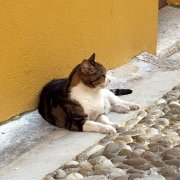 DSCF6699