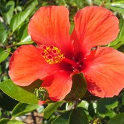 DSCF6728