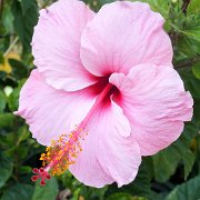 DSCF6729