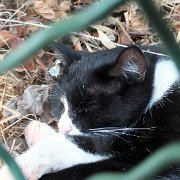 DSCF6764