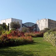 DSCF7096