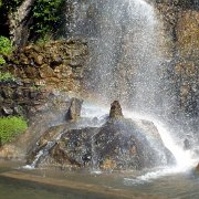 DSCF7197