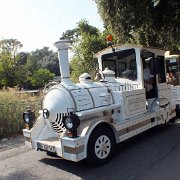 DSCF7242