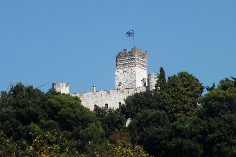 DSCF7390