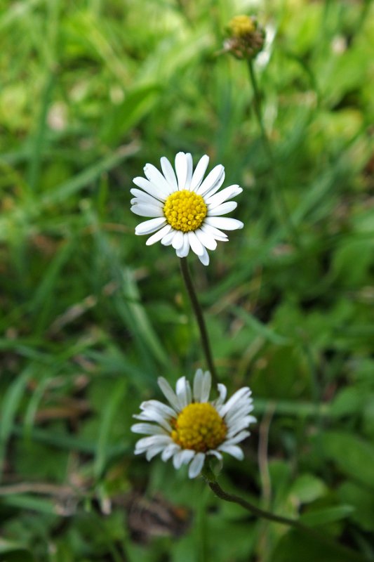 DSCF0353