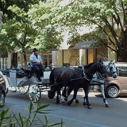 DSCF0067