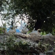 DSCF0188