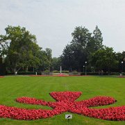 DSCF0324