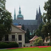 DSCF0330