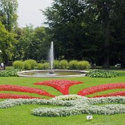 DSCF0331