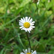 DSCF0353
