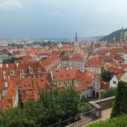 DSCF0771