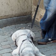 DSCF9965