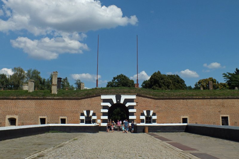 DSCF0919