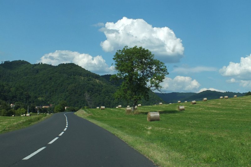 DSCF0955