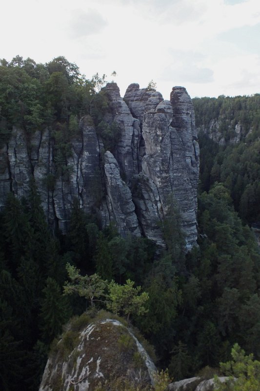 DSCF1050