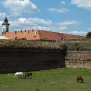 DSCF0836