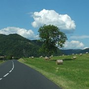 DSCF0955