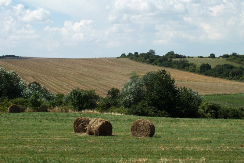 DSCF1159