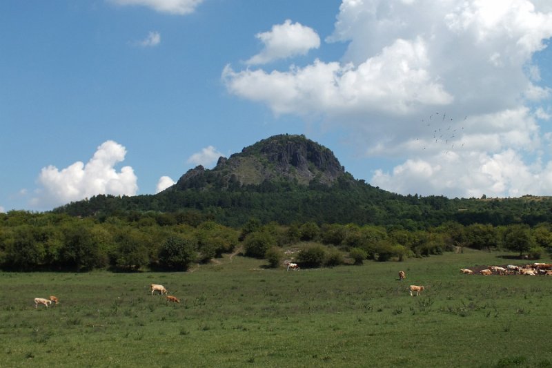 DSCF1164