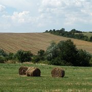 DSCF1159