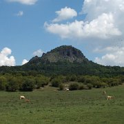 DSCF1164
