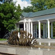 DSCF1284
