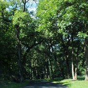 24.7. Mari�nsk� L�zne - Frantiskovy L�zne - Domazlice - Zinkovy