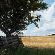 DSCF1428