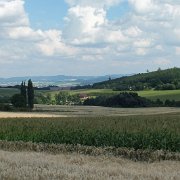 DSCF1486